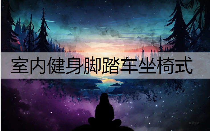 室内健身脚踏车坐椅式