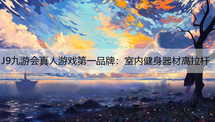室内健身器材高拉杆