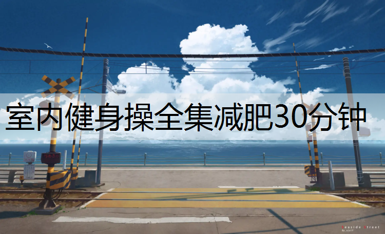 室内健身操全集减肥30分钟